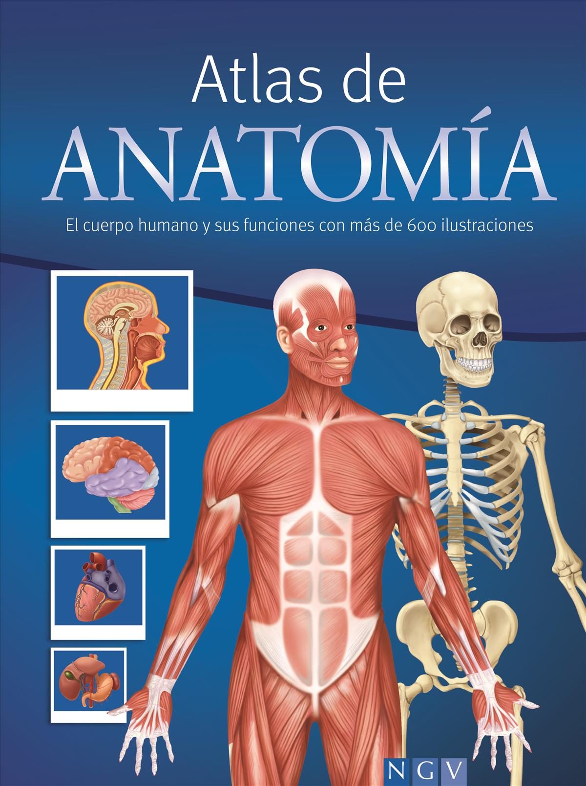 libro anatomia y fisiologia humana